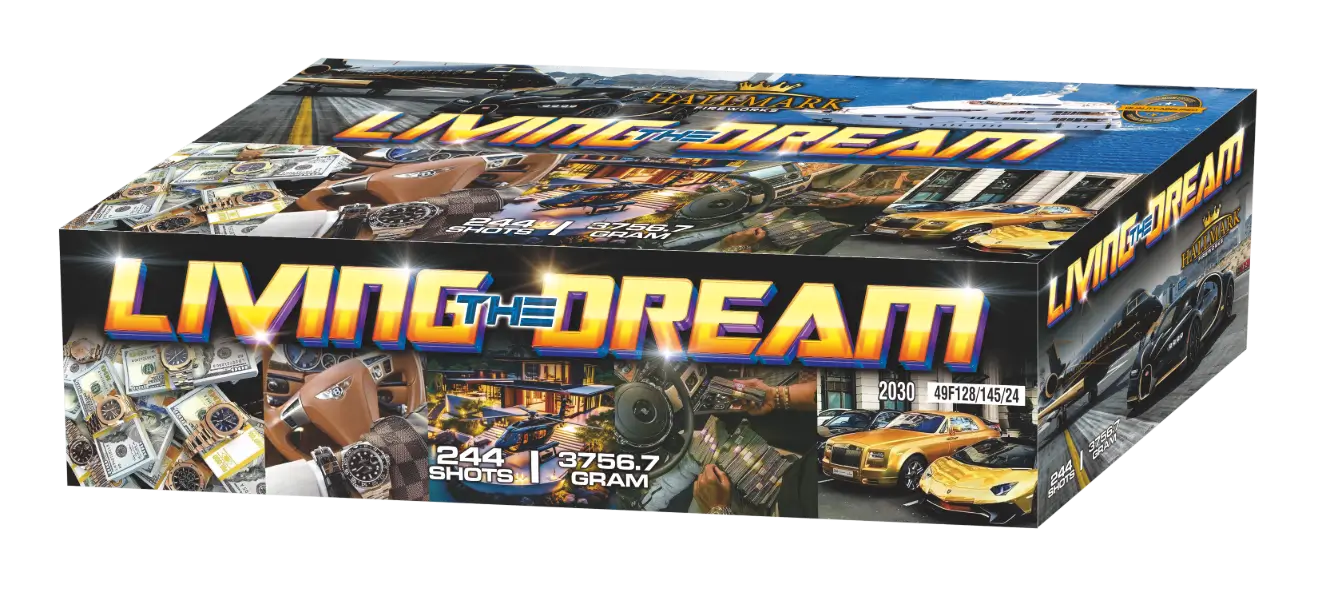 Living The Dream 1 Living The Dream