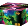 Wicked 2 Wicked