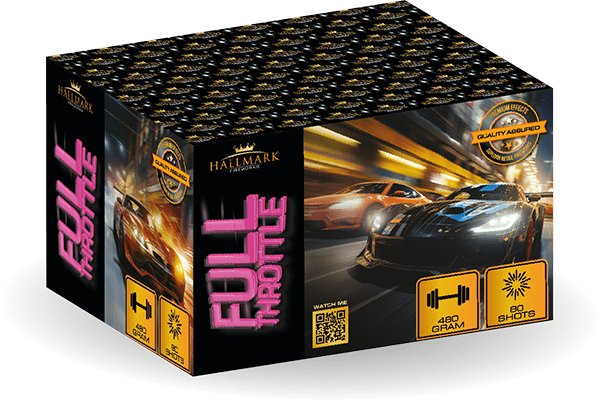 Full Throttle 1 Full Throttle
